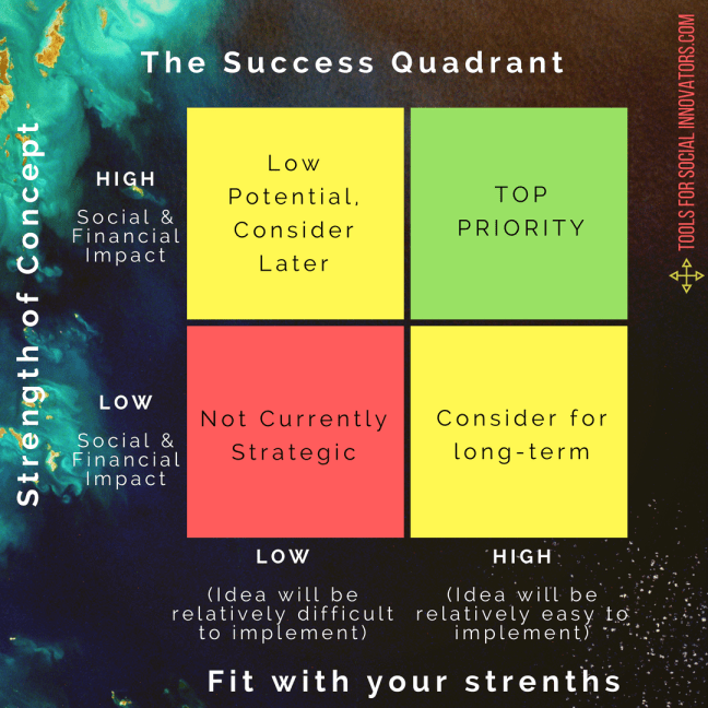 The Success Quadrant from Tools for Social Innovators